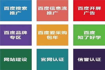 竞价广告案例分析：广告投放成本控制策略